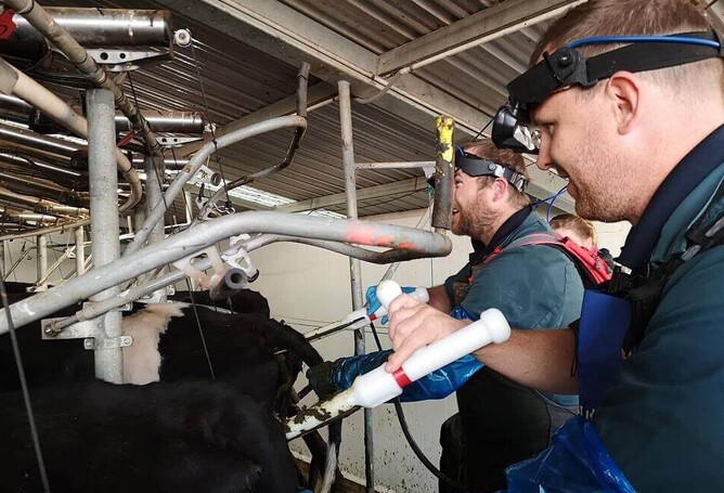 scanning at vetsouth