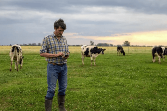 Dairy technology on dairy farm