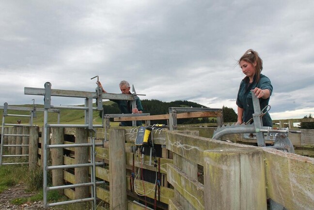 Brittany Buchanan - Weigh It Up