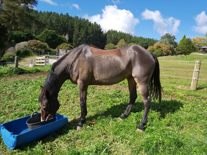 22 y/o Bonnie enjoys her lunch