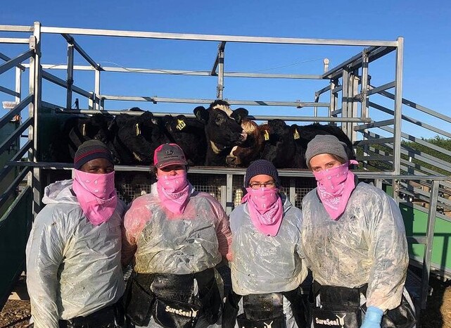 teat sealing at vetsouth