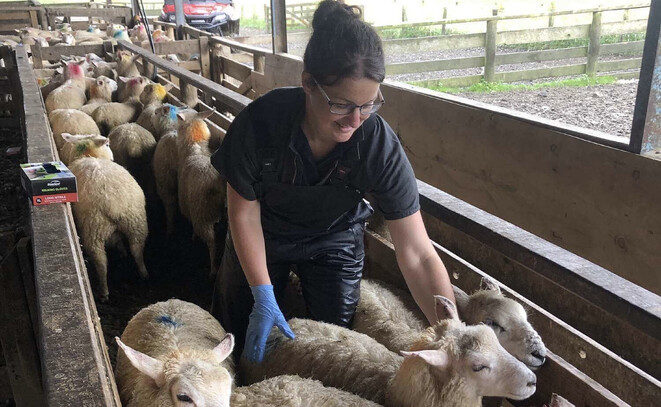 work life balance vet tech