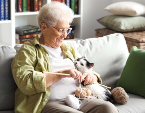 Choosing the right pet