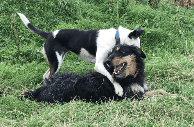 Credit: Rachael Buckingham