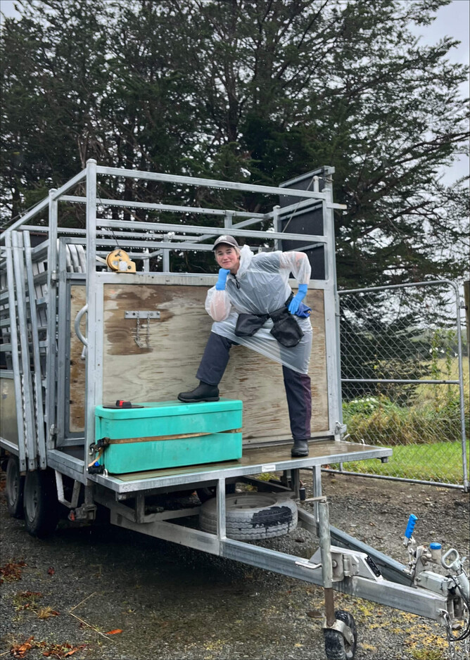 Image credit: Jaz Van Dam