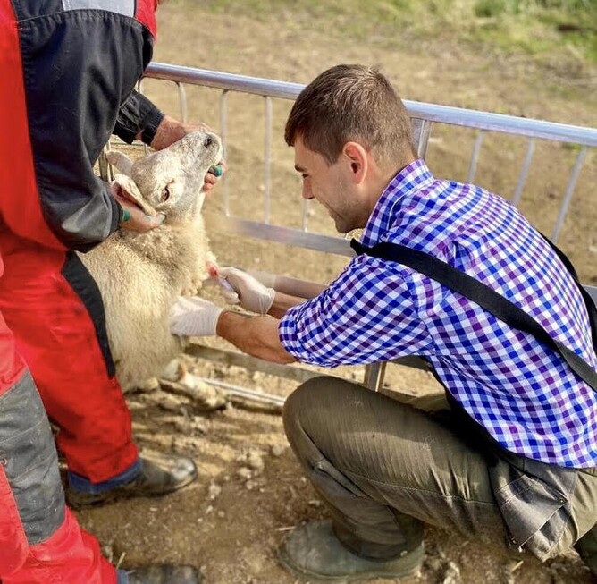 new faces at vetsouth - Kaz Strycharczyk