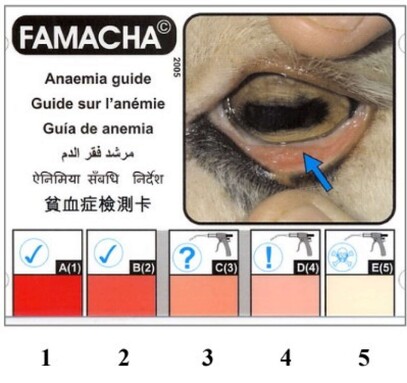 FAMACHA scoring guide, measuring degrees of anaemia.
