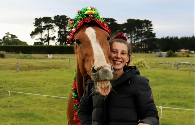 vetsouth equine tech ebony and tiger