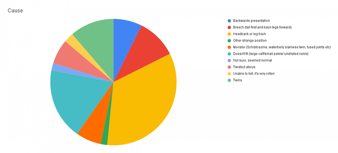 causes of calving problems