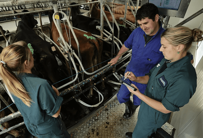 pre mating checklist