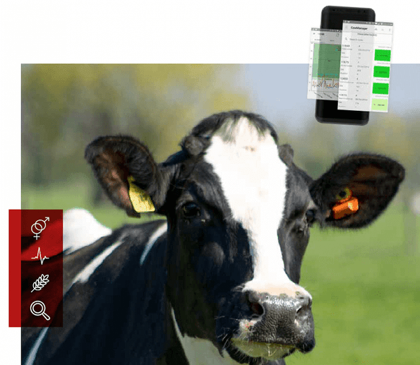 technology on dairy farm