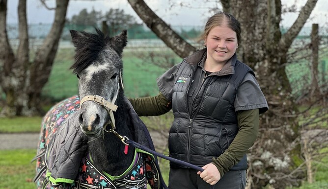 Nikaitlas vetsouth equine