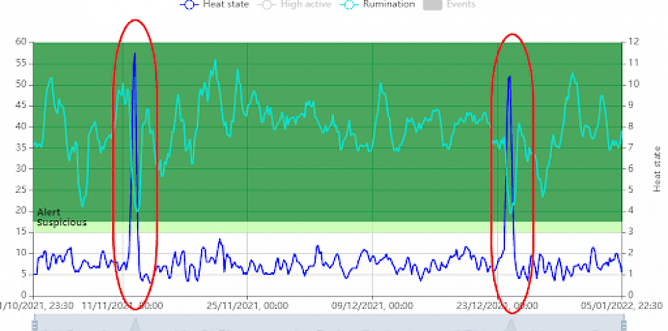 Cow in heat - Cow Manager