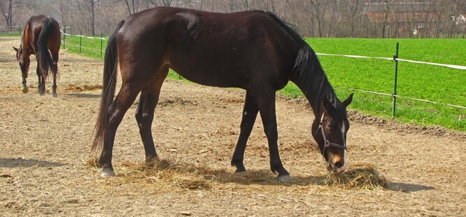 drought in southland