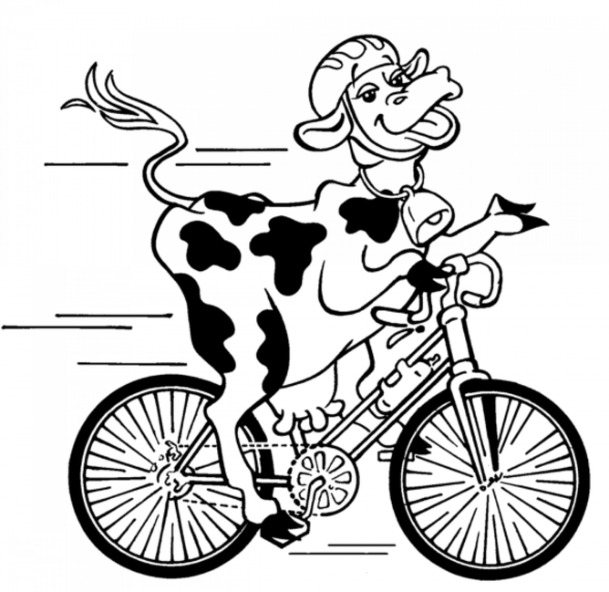 improving cow conception rate