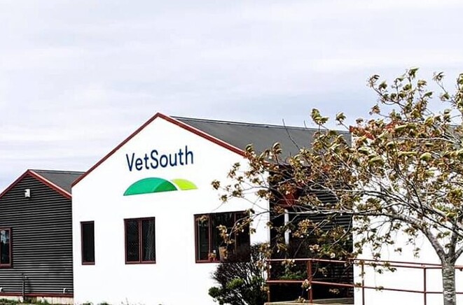 equine breeding facilities