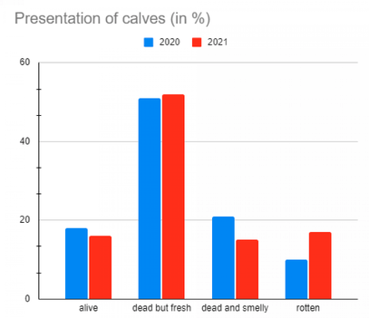 calving data at vetsouth