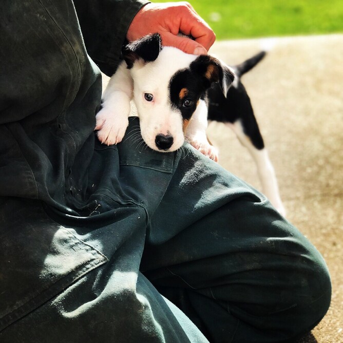 Credit: Rachael Buckingham