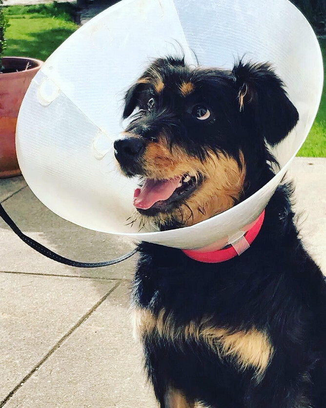 Credit: Rachael Buckingham