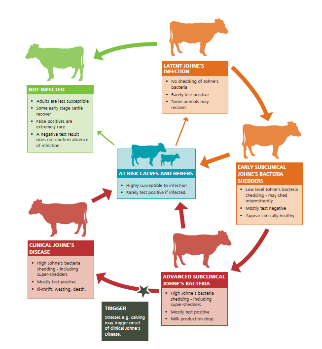 Image credit: DairyNZ