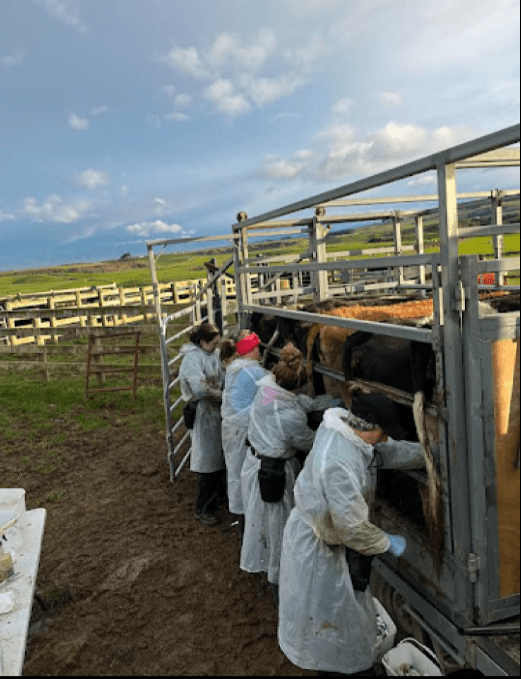 Image credit: Brittany Buchanan