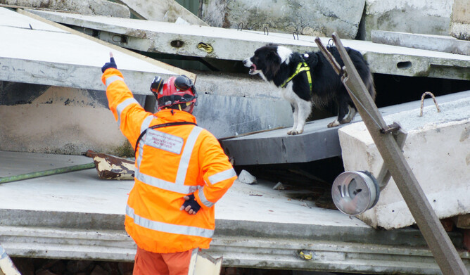 service dogs in New Zealand