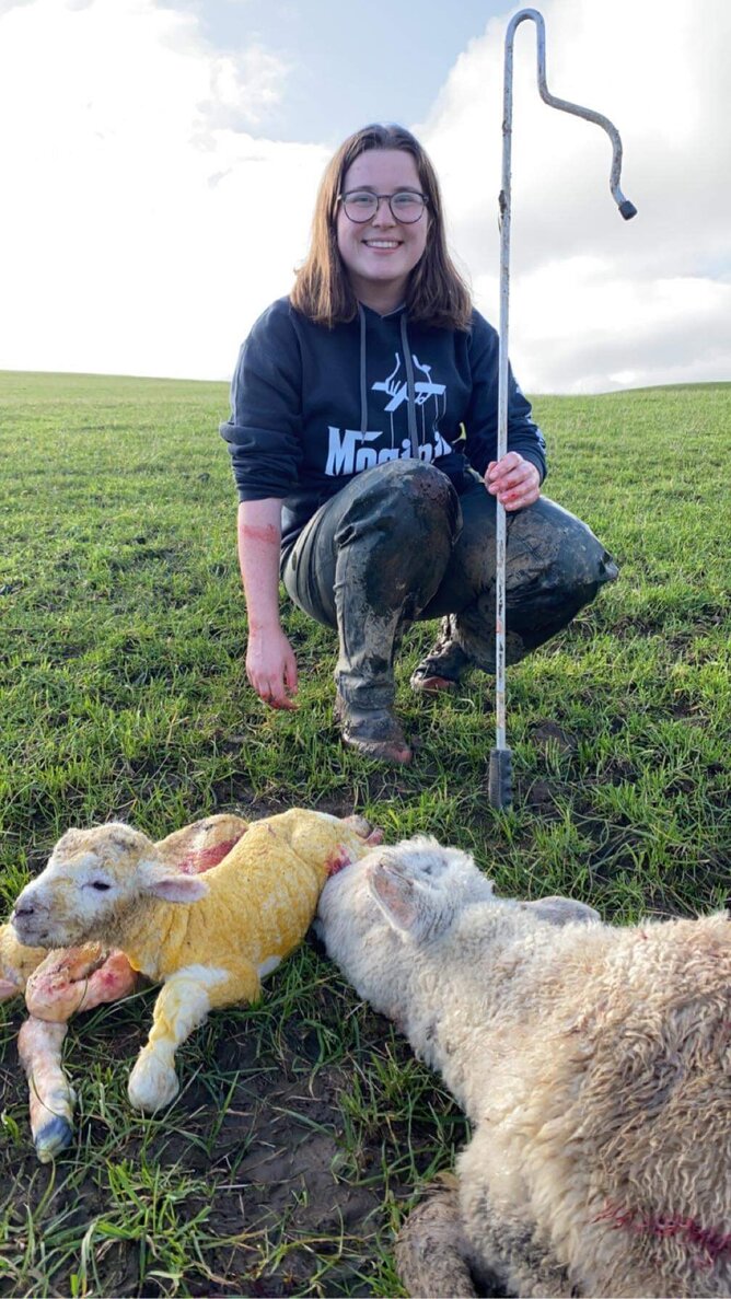 Holly doing some shepherding over lambing season. Image by: Holly Hender.