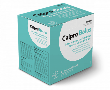 calpro bolus review