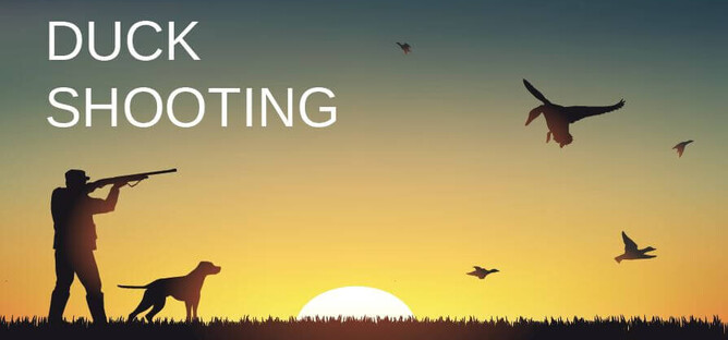 duck shooting season