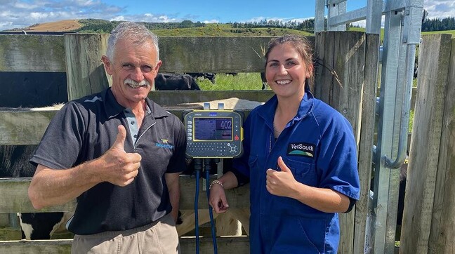 Brit and grant weigh it up