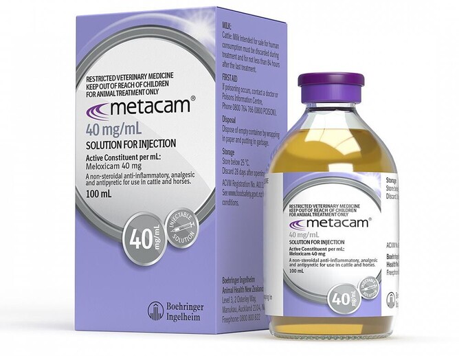 metacam and mastitis
