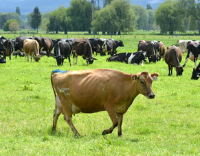 Intervening this repro season