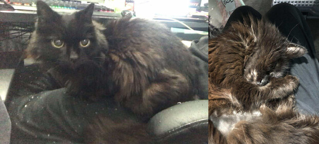 An unwell and underweight Paul before i131 treatment