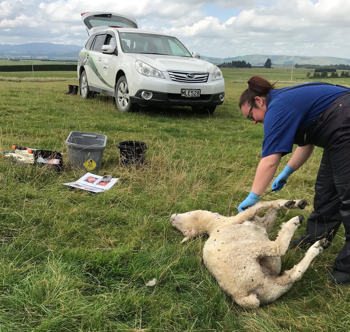 Diagnosis of stock loss during Covid19 lockdown VetSouth