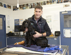 Mark Bryan is stepping back