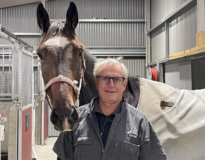 Championing mares in the Southern Belle harness racing series