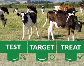 Managing parasites in calves