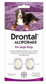 drontal worker for dogs