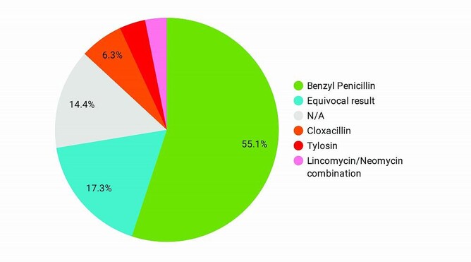 Antimicrobial usage at VetSouth – What's the trend? | VetSouth