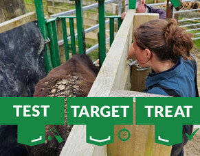 Targeting trace elements