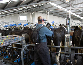 Should you phantom scan?