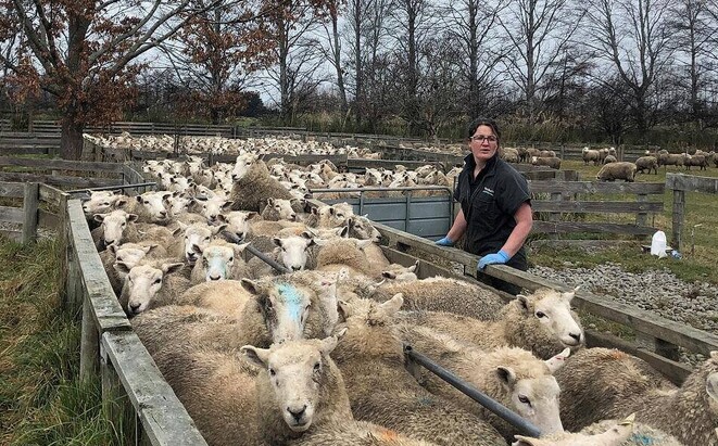 Triple Drench Resistance: Not Just a North Island Problem