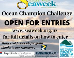 NZAEE Seaweek Ocean Champion Challenge