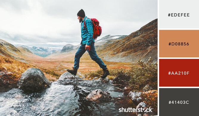 Color Palettes for Fitness & Training Sites