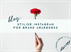 Utilise Instagram for Brand Awareness