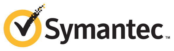 2010 Symantec Logo
