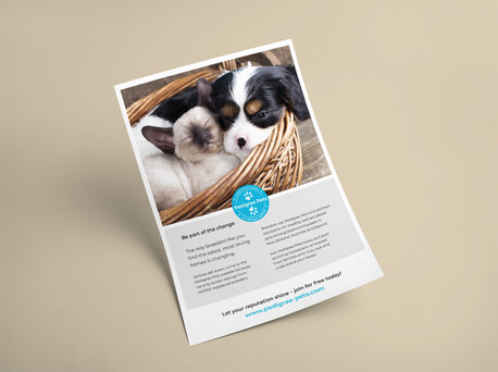 Advertorial for Pedigree Pets, NZ