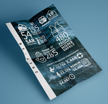 Infographic Design – Designerbloom Graphic Design – Wellington, New Zealand