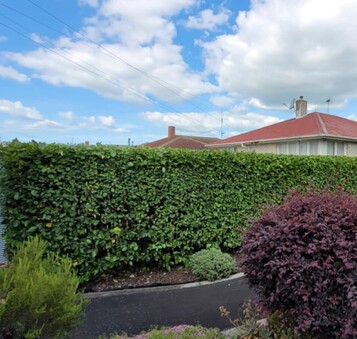 hedge mulching in the Waikato improves soil health
