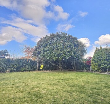 Enhance Curb Appeal by tree lifting in Waikato